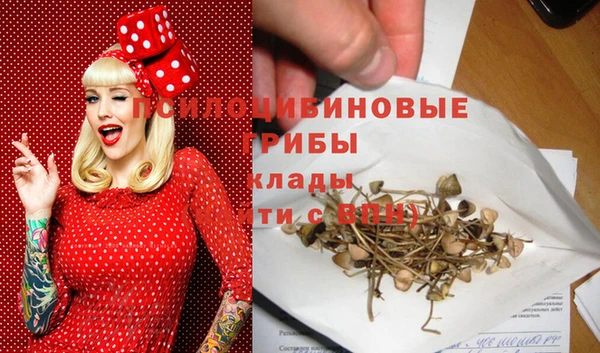 MESCALINE Лабытнанги