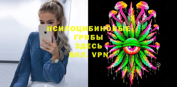 соль ск Кулебаки