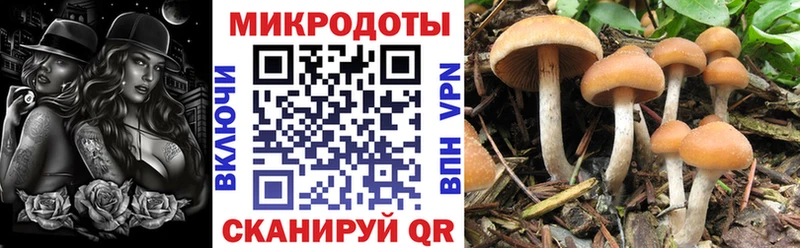 хочу   Мантурово  Псилоцибиновые грибы MAGIC MUSHROOMS 